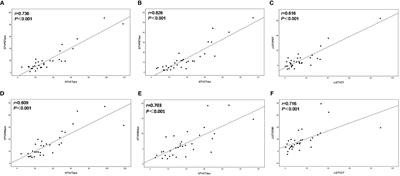 Geometrical Comparison and Quantitative Evaluation of 18F-FDG PET/CT- and DW-MRI-Based Target Delineation Before and During Radiotherapy for Esophageal Squamous Carcinoma